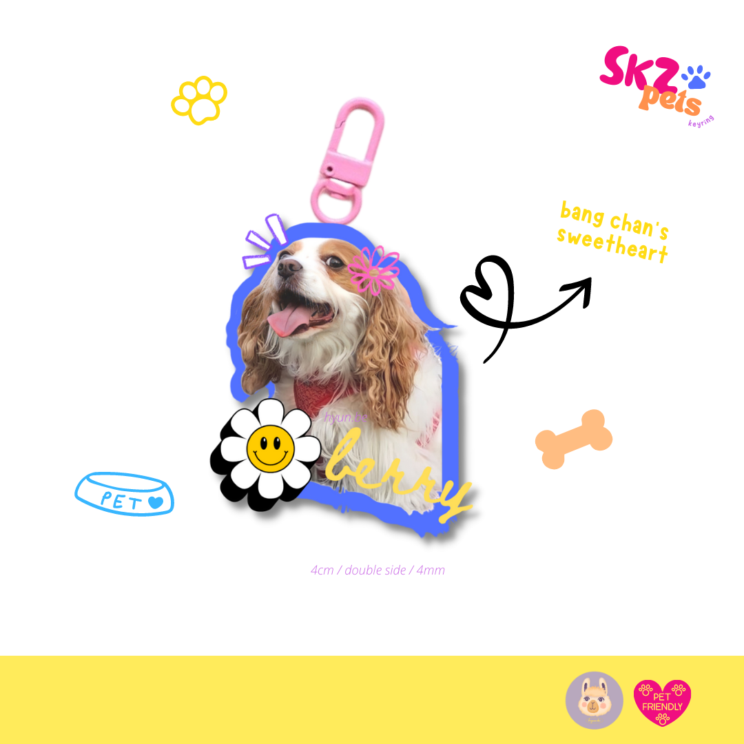 Stray Kids Pets