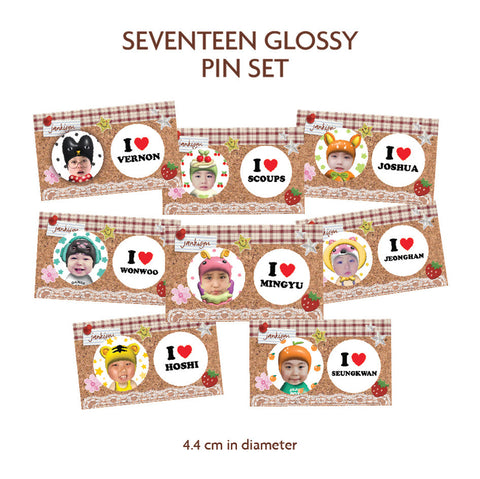 Seventeen Glossy Pin Set