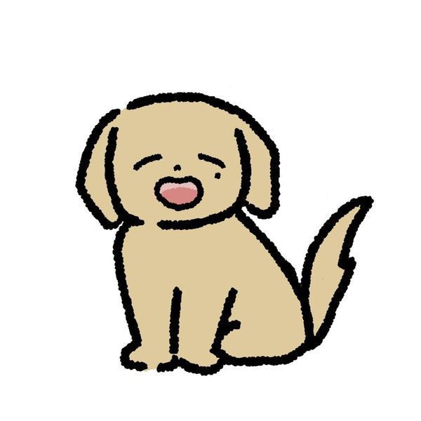 SVT as pets by lcvejjong | SEVENTEEN acrylic keychain as animals