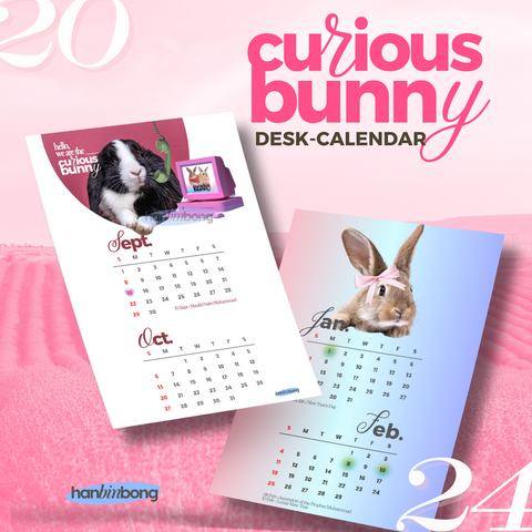 Curious Bunny 2024 Calendar