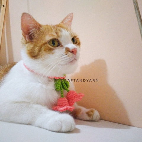 Pet collar