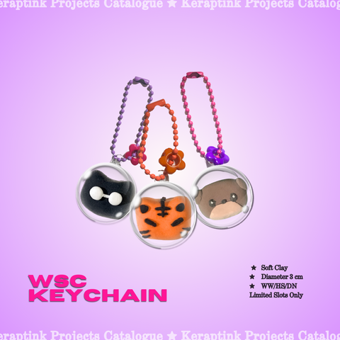 WSC Ball Keychain